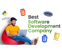 Affordable Software Development Company for Custom Solutions