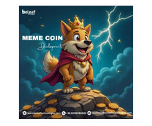 Custom Meme coin development - Beleaf Technologies