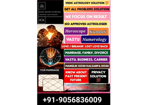 Best Astrologer in Punjab call now 9056836009
