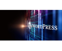Hire the Best WordPress Development Company in Ahmedabad