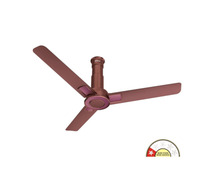 Havells Ioniq Decorative Ceiling Fan | Stylish & Efficient Cooling