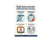 vapt for web application