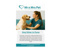 Dog Sitter in Pune